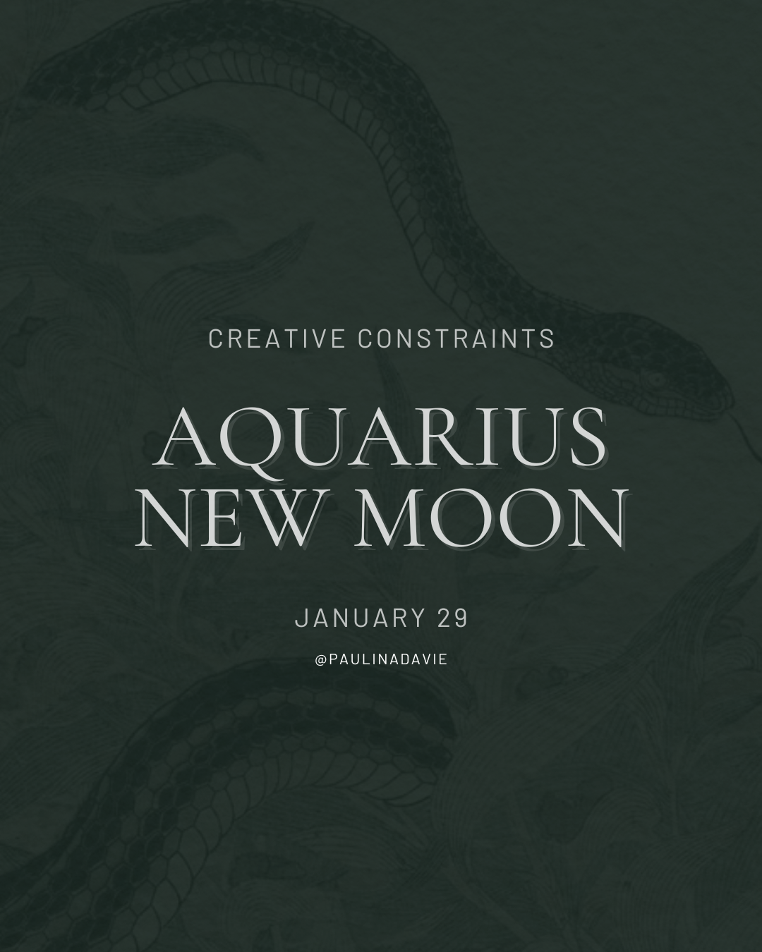 aquarius new moon 2025